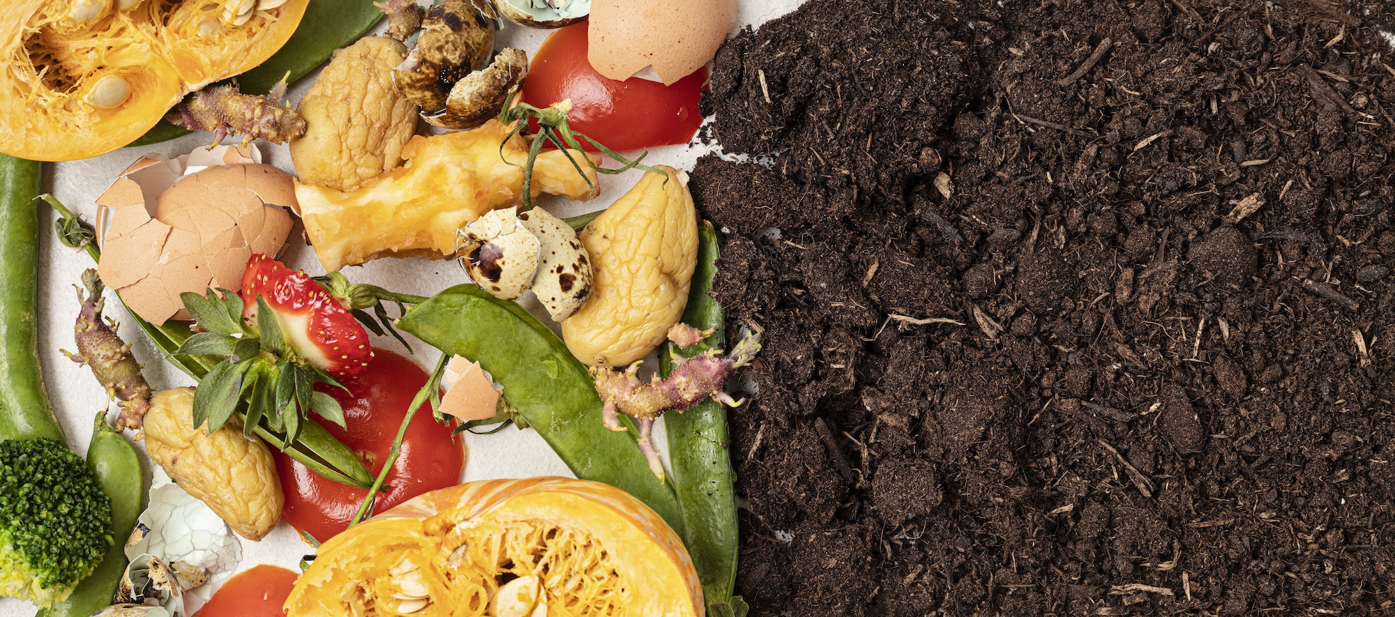 Food leftovers for compost and composted soil