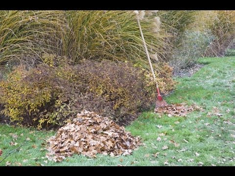transformez vos feuilles mortes en or vert : le guide ultime du compost automnal !